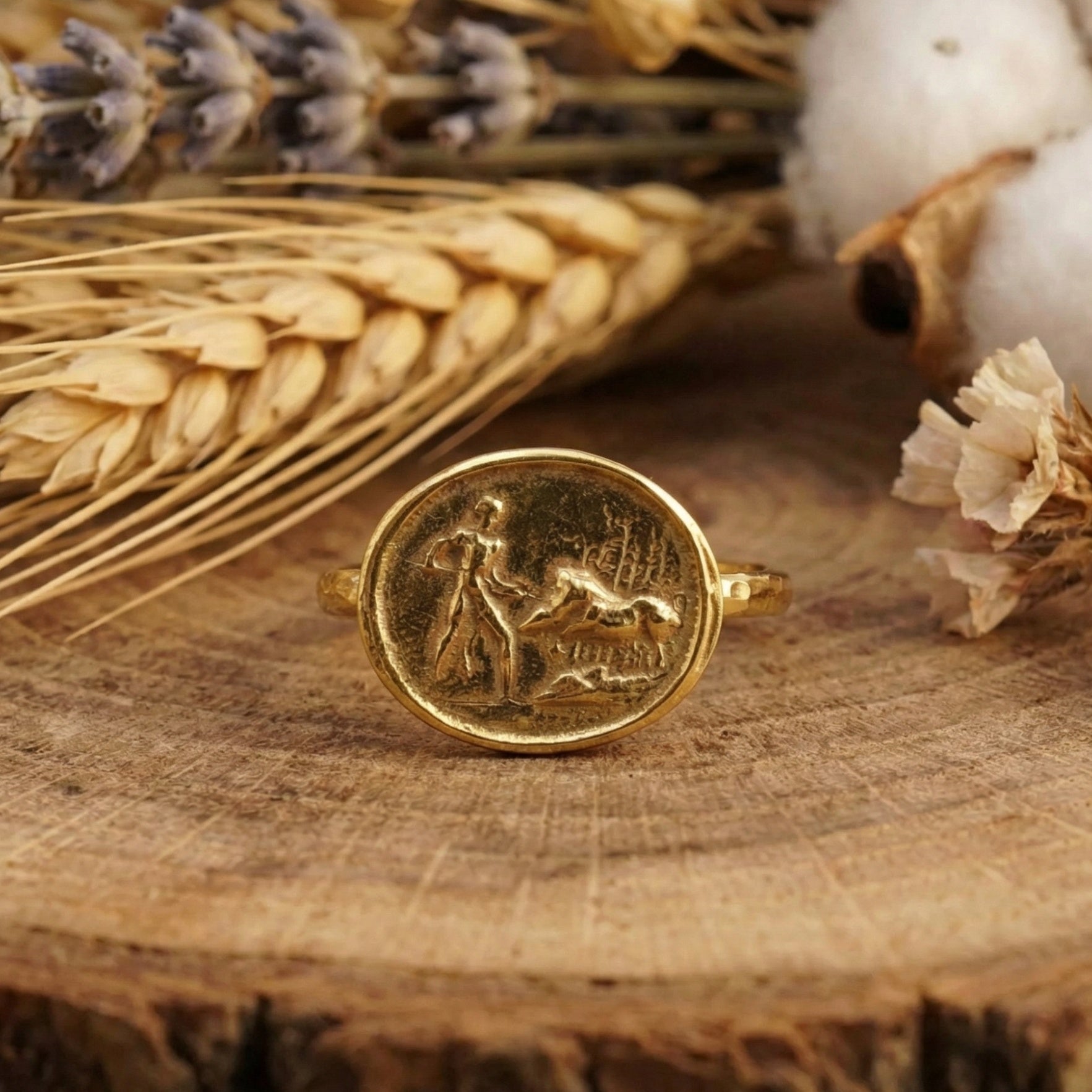 Turkish lion hunter coin ring, 925 silver with gold plating, ancient Roman art inspired
