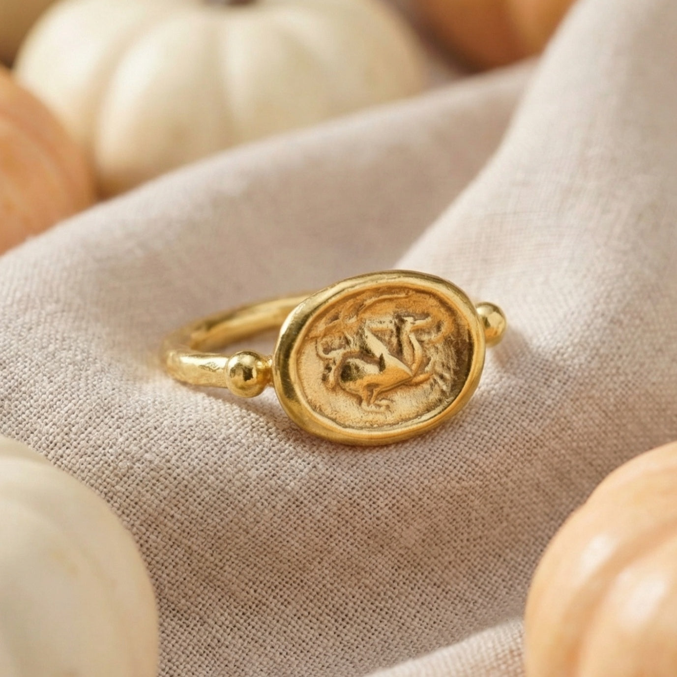 Silver warrior coin ring on hand, 925 sterling silver, timeless Turkish jewelry by designer Sultan